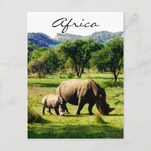 Cartão Postal rhino africa
