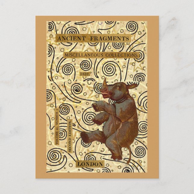 Cartão Postal Rhino dança (Frente)