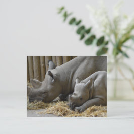 Cartão Postal Rhinoceros