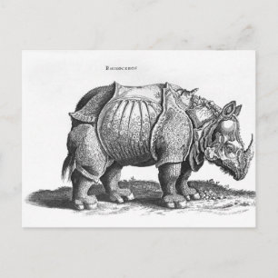 Cartão Postal Rhinoceros, from 'Historia Animalium'