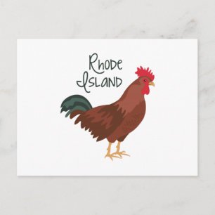 Cartão Postal Rhode Island Red Chicken State Bird