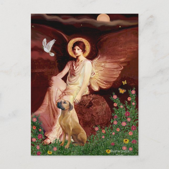 Cartão Postal Rhodeisn Ridgebak 2 - Anjo Sentado (Frente)