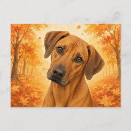 Cartão Postal Rhodesian Ridgeback Autumn Dog