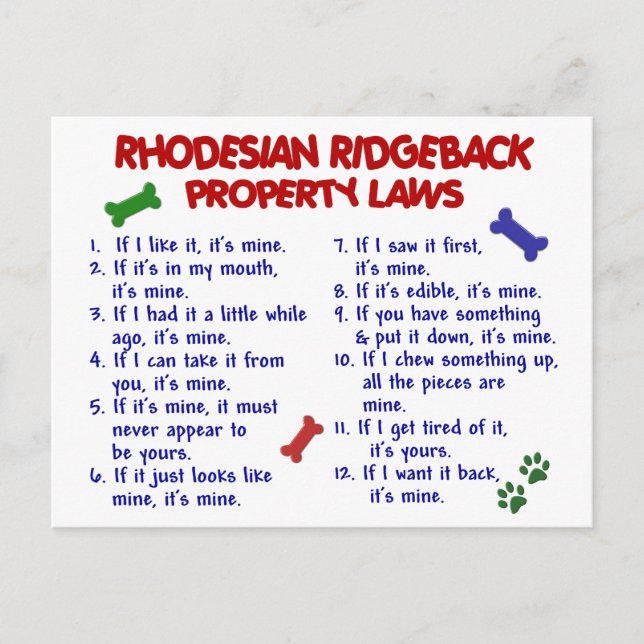 Cartão Postal RHODESIAN RIDGEBACK Property Laws 2 (Frente)