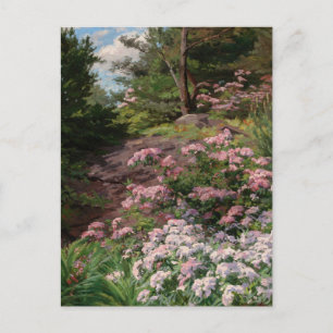Cartão Postal Rhododendron rosa e branco   Thomas Allen Jr.