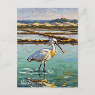 Cartão Postal Ria Formosa Natural Park Portugal Viagem