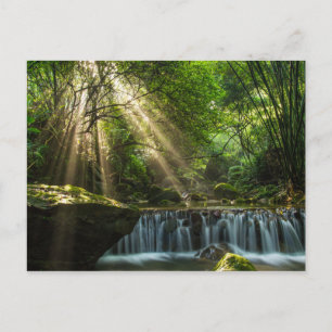 Cartão Postal Ribeiro Glamour Longquan