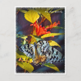 Cartão Postal Rice Paper Butterfly