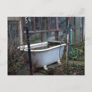 Cartão Postal Rico banho?