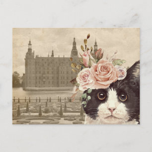 Cartão Postal Rico Cat & The Castle