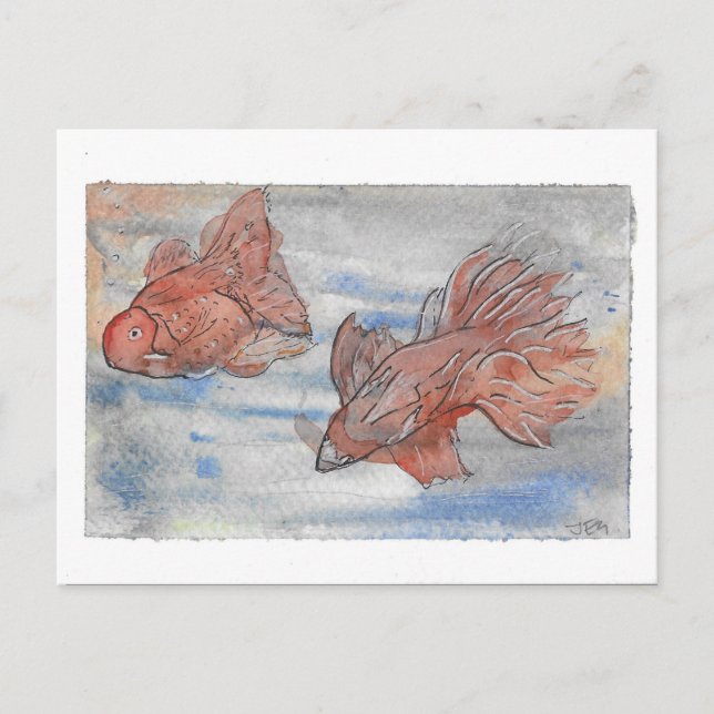 Cartão Postal Rico Fishes (Frente)