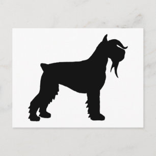 Cartão Postal Rico Giant Schnauzer