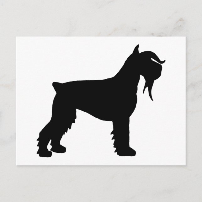 Cartão Postal Rico Giant Schnauzer (Frente)