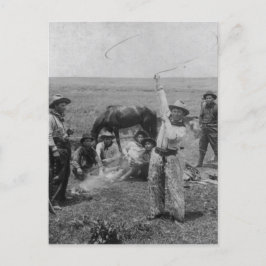 Cartão Postal Rico Roping