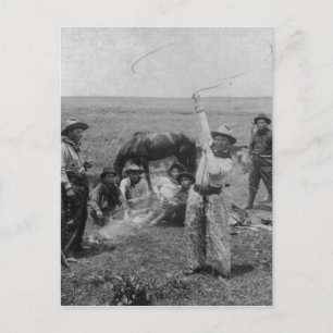 Cartão Postal Rico Roping