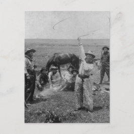 Cartão Postal Rico Roping