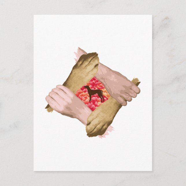 Cartão Postal Ridgeback rodesiano (Frente)