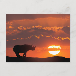 Cartão Postal Rino no pôr do sol, Masai Mara, Quênia