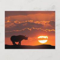 Rinoceronte ao pôr do sol, Masai Mara, Quênia