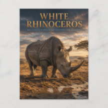 Rinoceronte Branco Savana ANIMAIS
