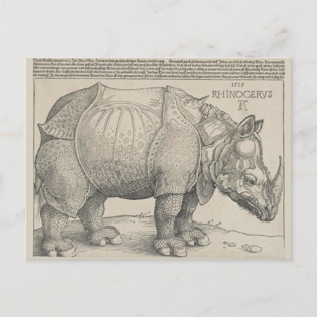 Cartão Postal Rinocerontes, Woodcut por Albrecht Durer (Frente)