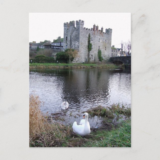 Cartão Postal Rio Barrow Swan, Castelo Branco Athy Co. Kildare (Frente)