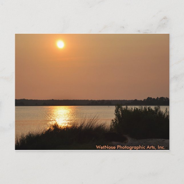 Cartão Postal Rio Cape Fear (Frente)