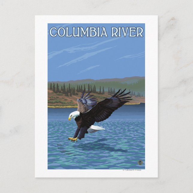 Cartão Postal Rio Columbia, Washington Eagle Diving (Frente)