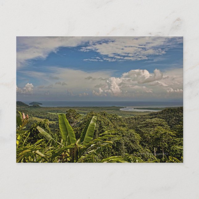 Cartão Postal Rio Daintree na floresta tropical úmida de (Frente)