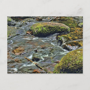 Cartão Postal Rio Dart em Dartmet Dartmoor