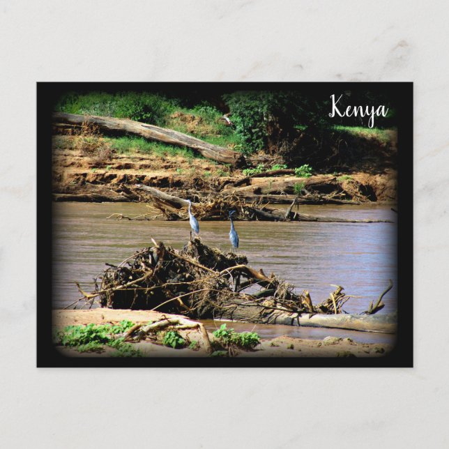 Cartão Postal Rio em Samburu (Frente)