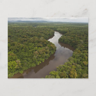 Cartão Postal Rio Essequibo, o rio mais longo da Guiana, e 5