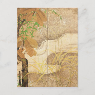 Cartão Postal Rio Fluindo