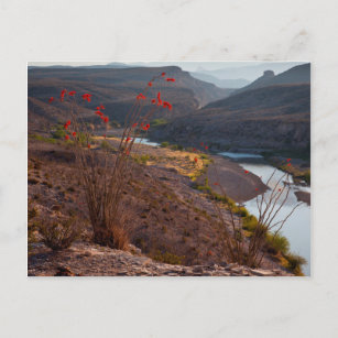 Cartão Postal Rio Grande Atravessa O Deserto De Chihuahuan