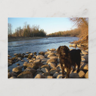 Cartão Postal Rio Mississppi - Bom dia