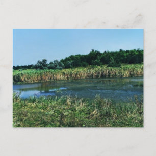 Cartão Postal Rio Molochnaya perto de Melitopol. Sul da Ucrânia