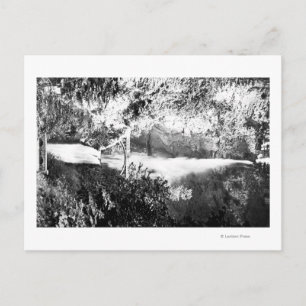 Cartão Postal Rio Multnomah Cai FotografiaColúmbia, OU