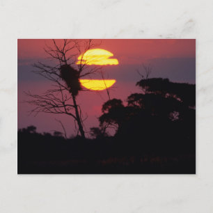 Cartão Postal Rio Sabi ao Pôr-do-Sol, Parque Nacional Kruger