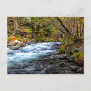 CARTÃO POSTAL RIO SACRAMENTO