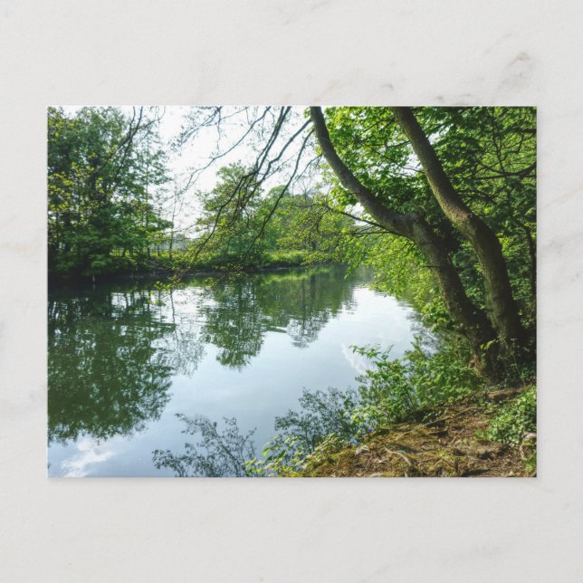 Cartão Postal Rio Taff, Cardiff, País de Gales. (Frente)