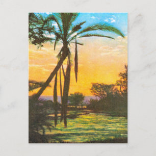 Cartão Postal Rio Vintage Zambezi, acima das cataratas