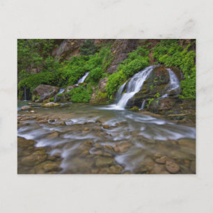 Cartão Postal Rio Virgem das Grandes Primaveras   Parque Naciona