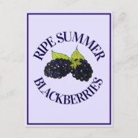Ripe Summer Blackberry Blackberry Berry Berries