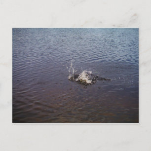 Cartão Postal Ripples num lago, de um peixe saltando