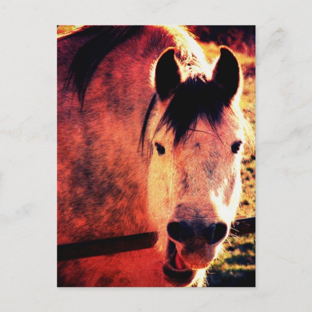 Cartão Postal Rir (Frente)