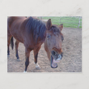 Cartão Postal Risada de Anjo