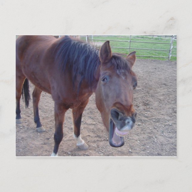 Cartão Postal Risada de Anjo (Frente)