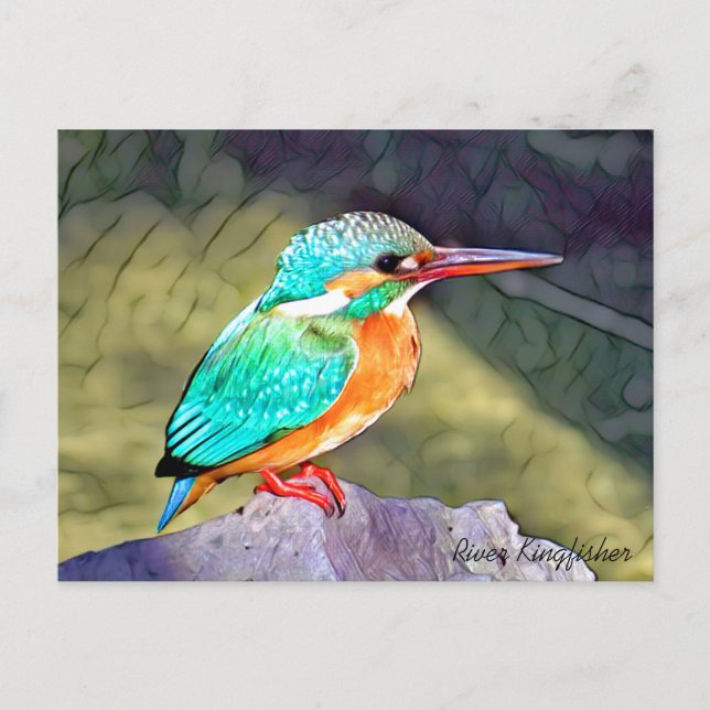 Cartão Postal River Kingfisher (Frente)