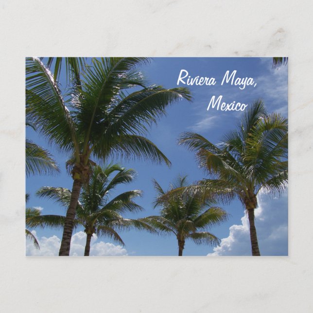 Cartão Postal Riviera Maya Cancun México Caribe Palmeiras (Frente)