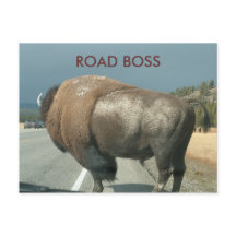 Cartão postal ROAD BOSS